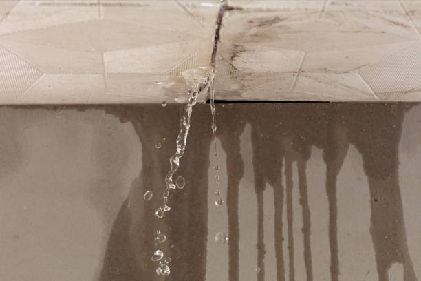 Professional Structural Drying technician working in Portland, TX